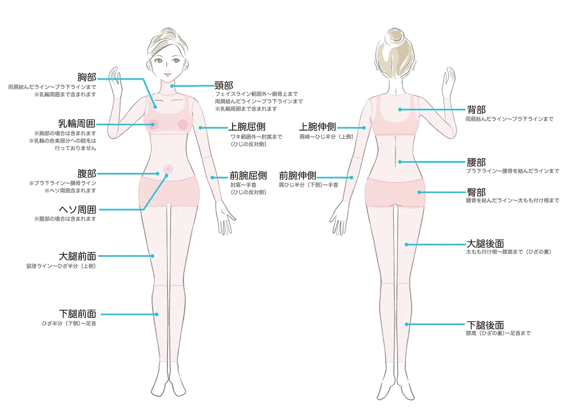 全身脱毛イメージ